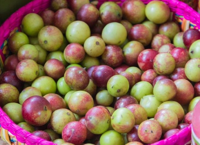 Camu camu